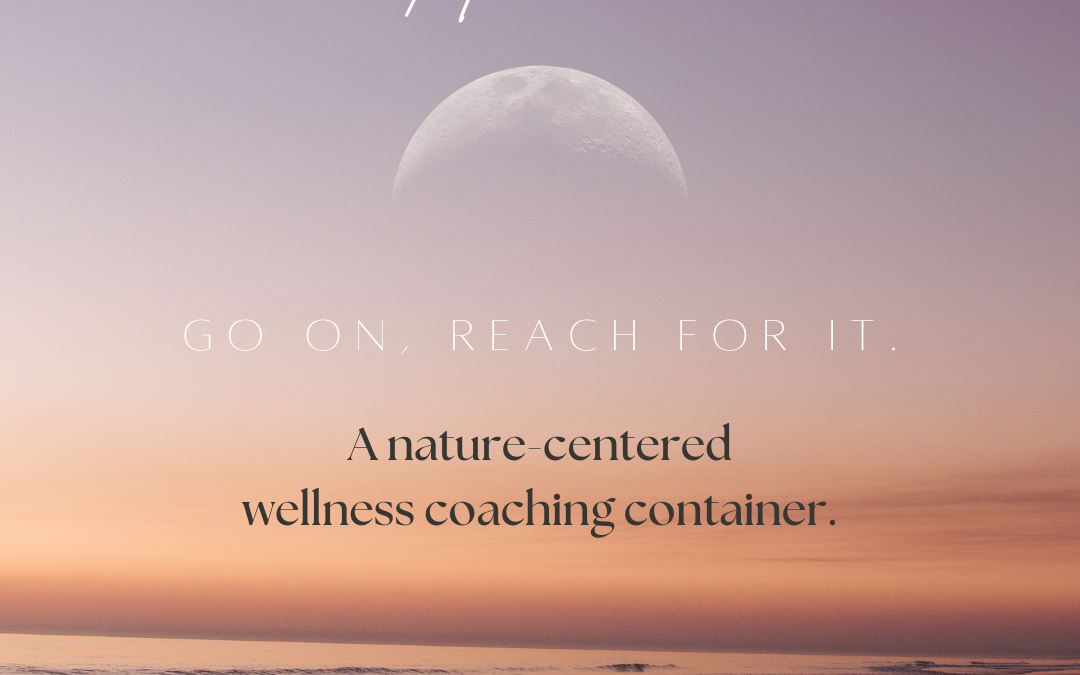 H O M E: A Spiritually Guided Wellness Coaching Program Utilizing the Healing Power of Nature.
